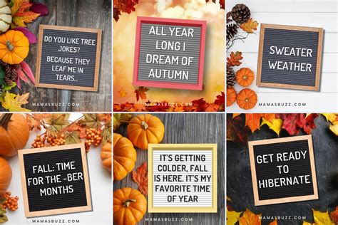 fall board sayings|fall letterboard phrases.